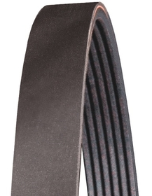 Belt (78-1866) Alternator Thermo King Precedent C-600 / C-600M