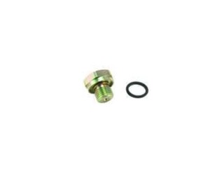 (55-4212) Plug Oil Pump Cover Thermo King
