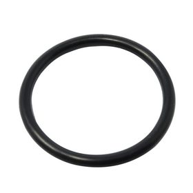 (42-00243-09) O-Ring Viton #06 ORS Carrier Drier